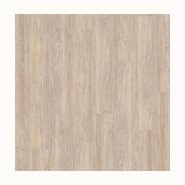Sample Tiles - Tisa Home