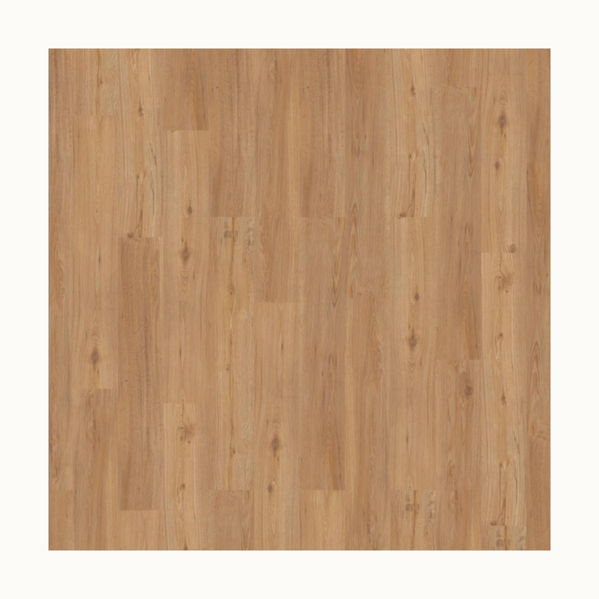 Sample Tiles - Tisa Home