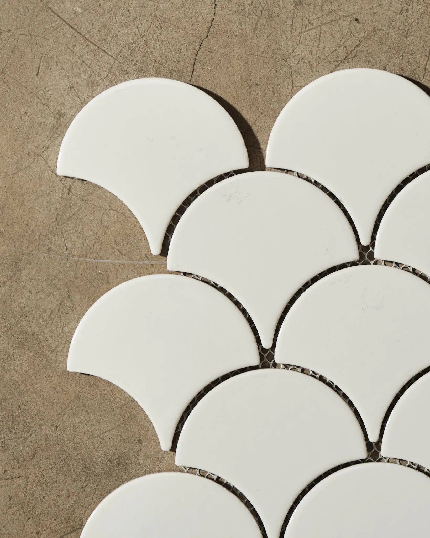 Nalu Gloss Fish Scale Tile Tisa Home